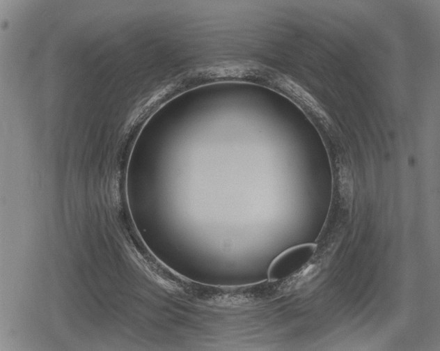 X0000080690537200612221055