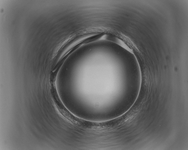 X0000080690538200612221055