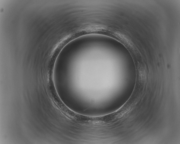 X0000080690539200612221055