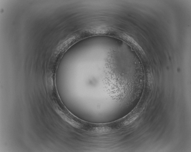 X0000080690541200612221055