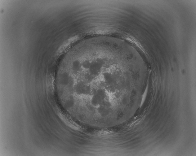 X0000080690542200612221055