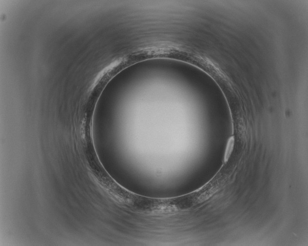 X0000080690543200612221055