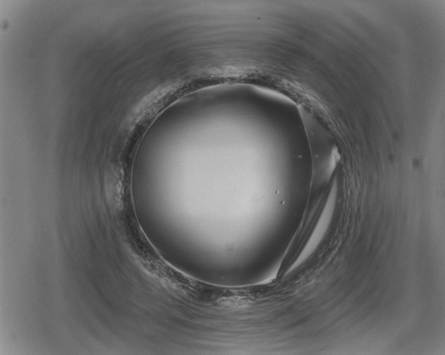 X0000080690544200612221055