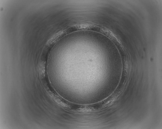 X0000080690545200612221055