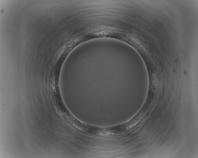 X0000080690547200612221055