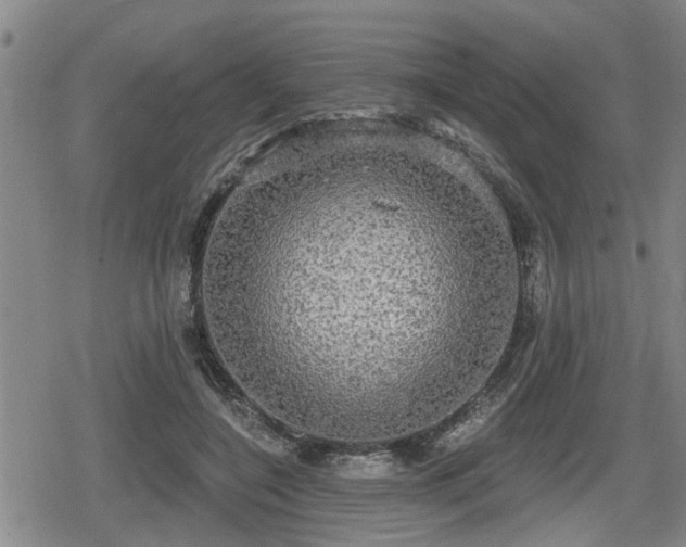 X0000080690548200612221055