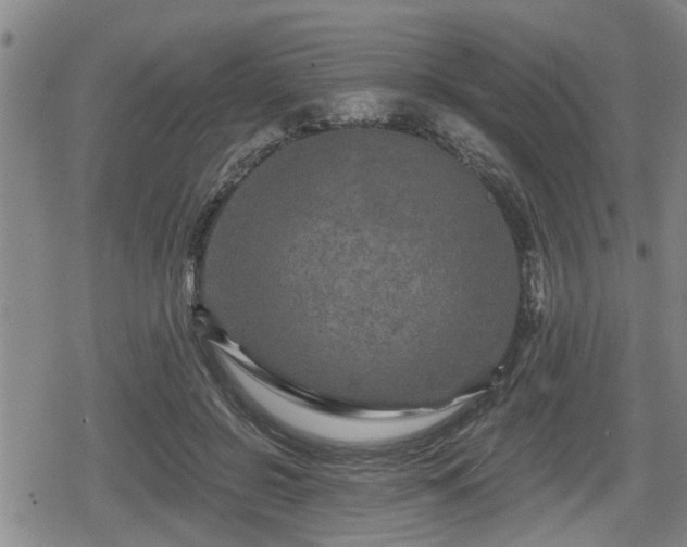 X0000080690550200612221055