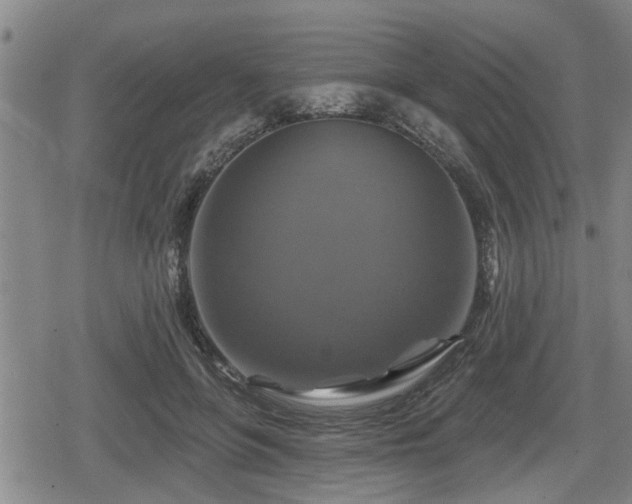 X0000080690551200612221055