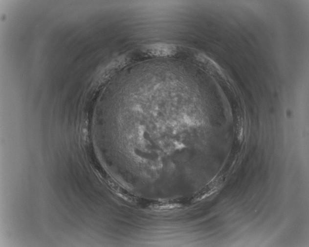 X0000080690553200612221055