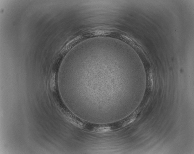 X0000080690554200612221055