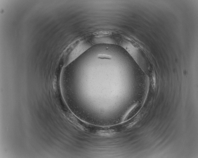 X0000080690556200612221055