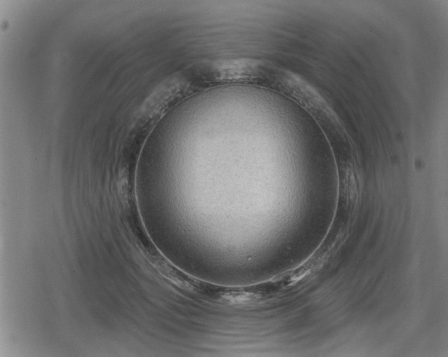 X0000080690557200612221055