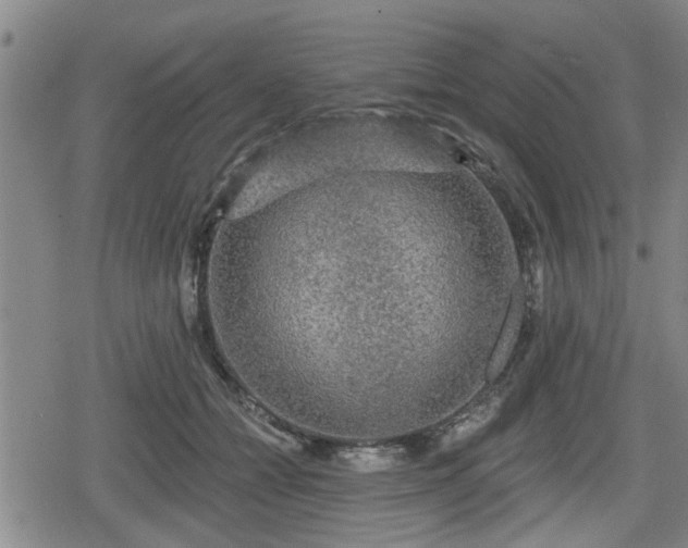 X0000080690558200612221055