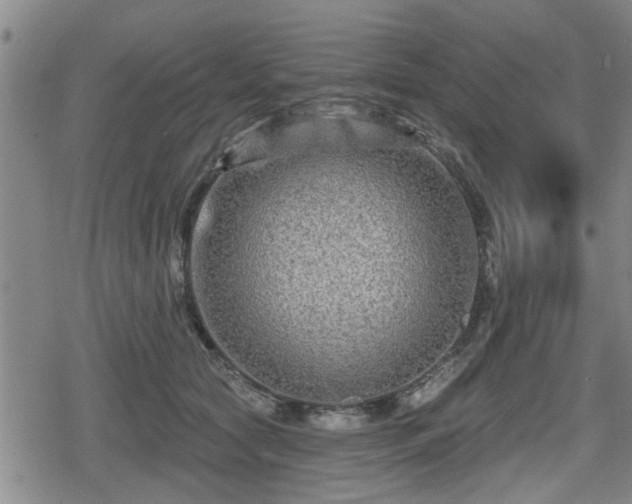 X0000080690561200612221055