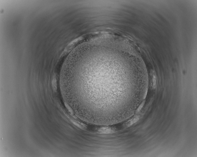 X0000080690562200612221055