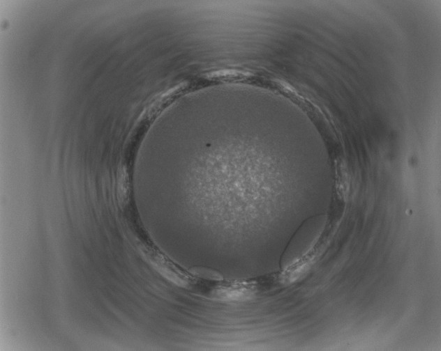 X0000080690563200612221055