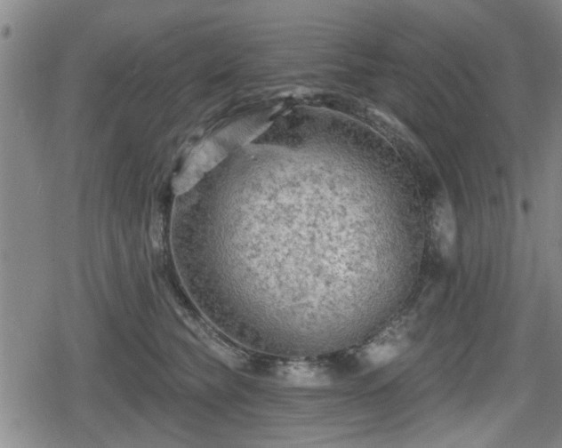 X0000080690565200612221055