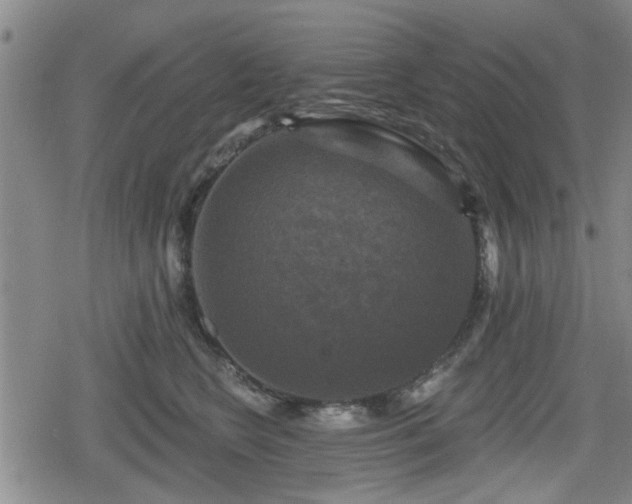 X0000080690566200612221055