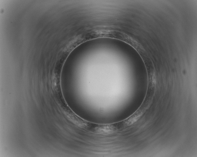 X0000080690567200612221055