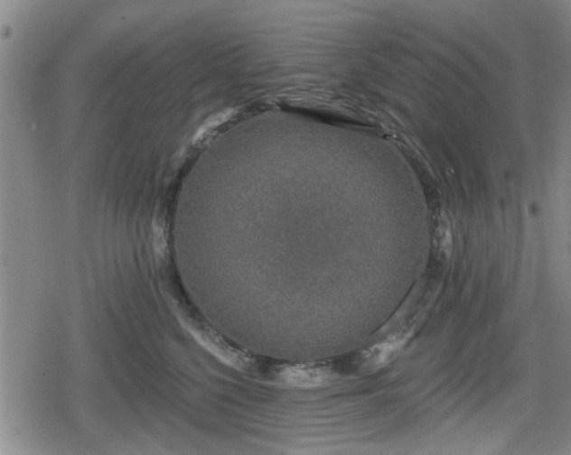 X0000080690568200612221055