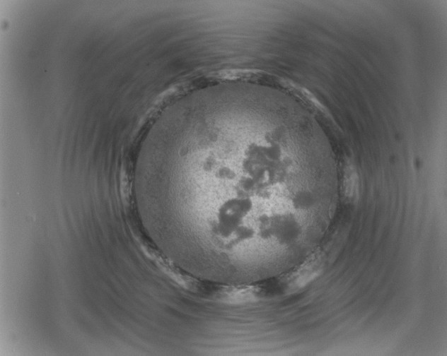 X0000080690569200612221055