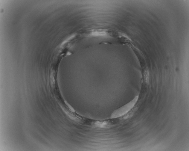 X0000080690570200612221055