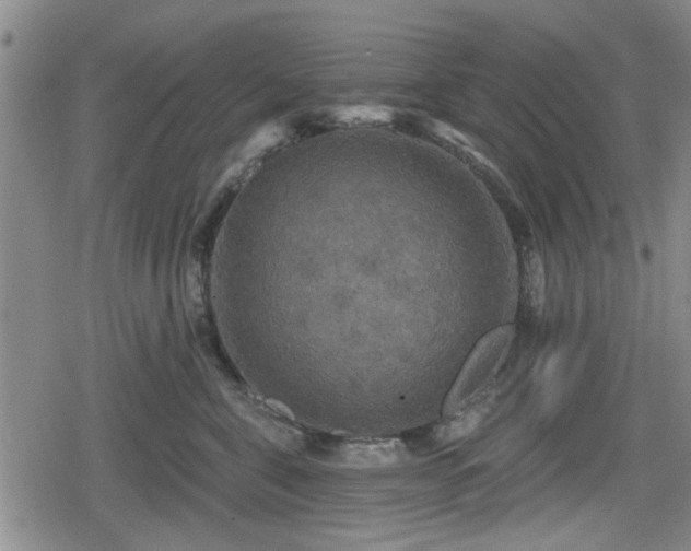 X0000080690571200612221055