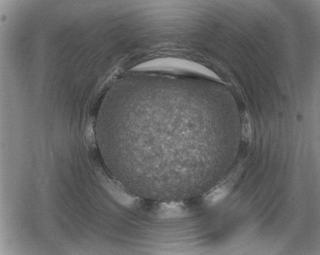 X0000080690573200612221055