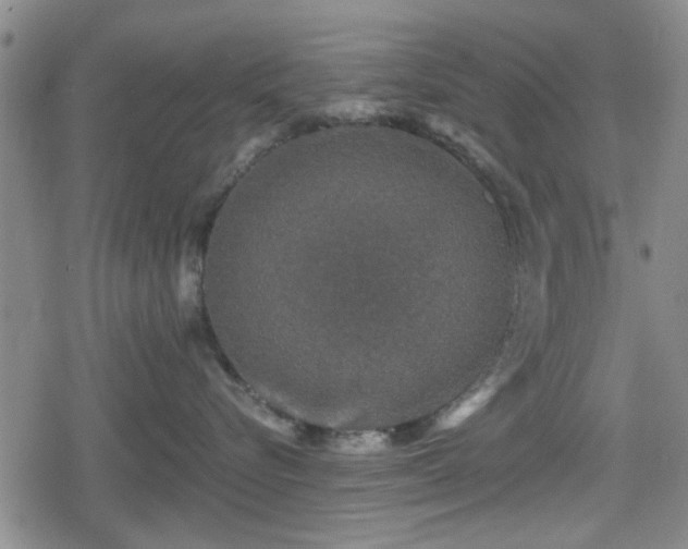 X0000080690576200612221056