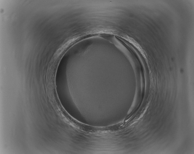 X0000080690577200612221055