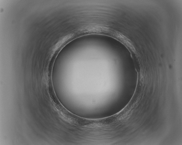 X0000080690578200612221055