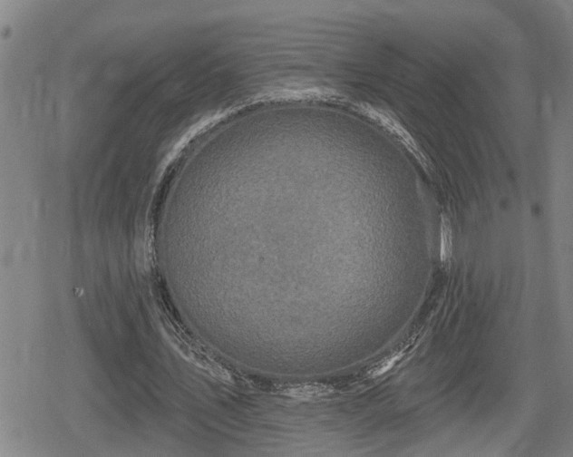 X0000080690579200612221055