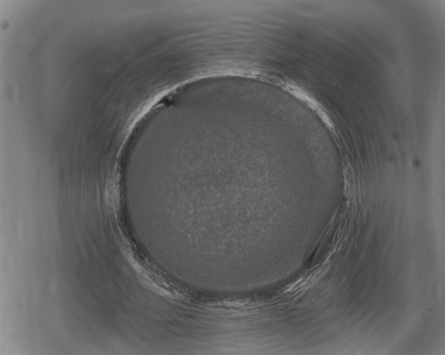 X0000080690580200612221055