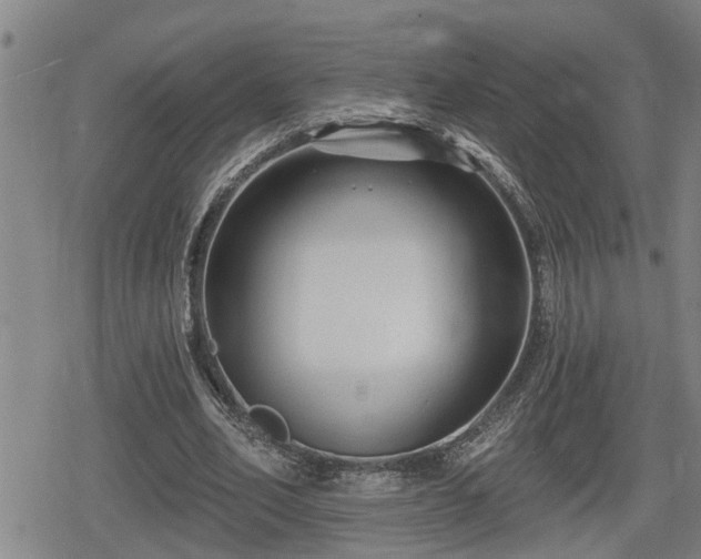 X0000080690582200612221055