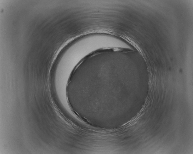 X0000080690584200612221055