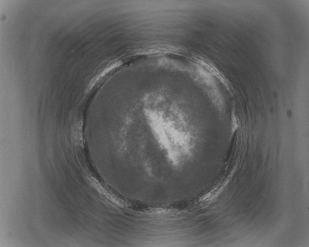 X0000080690585200612221055