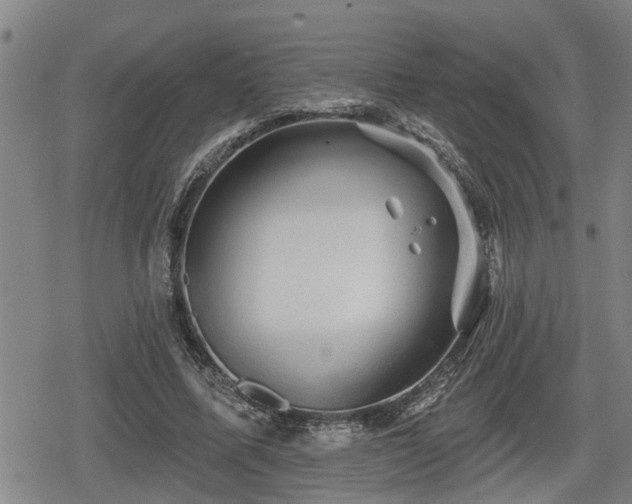 X0000080690587200612221055