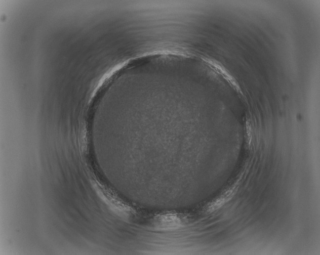 X0000080690588200612221055