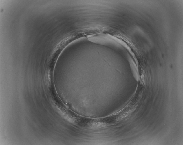 X0000080690590200612221055