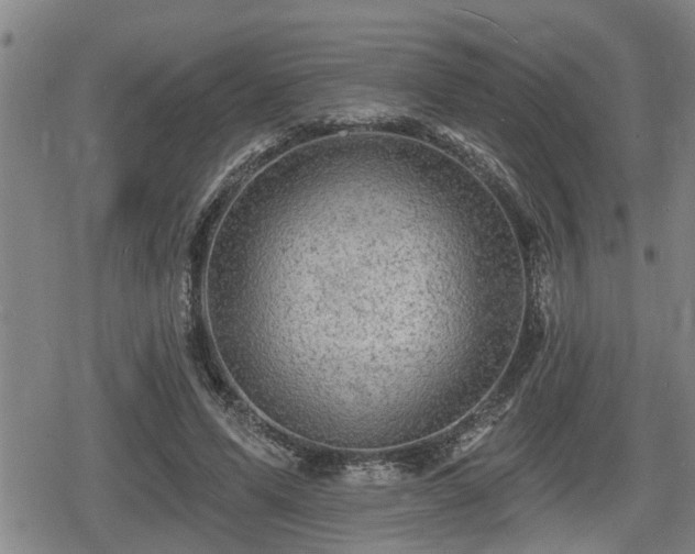 X0000080690591200612221055