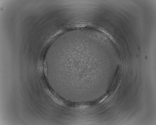 X0000080690593200612221054