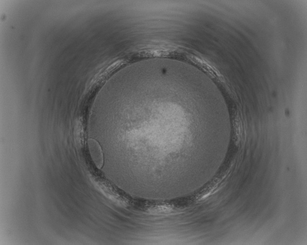 X0000080690594200612221054