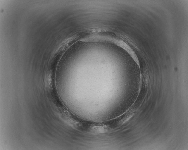 X0000080690595200612221054