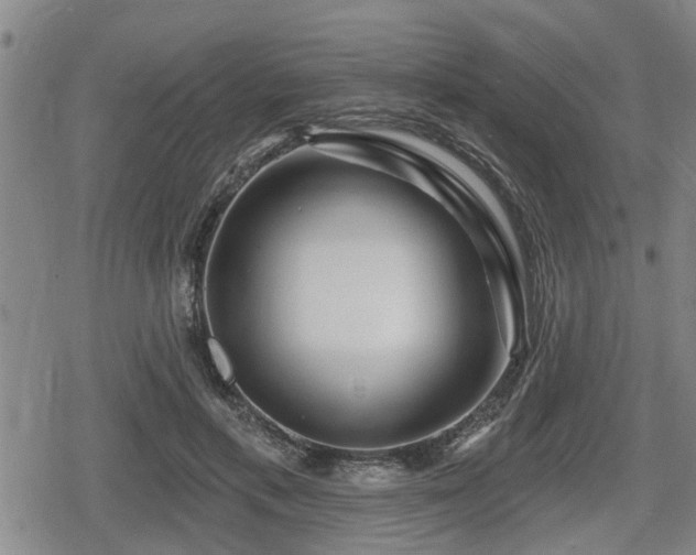 X0000080690597200612221054