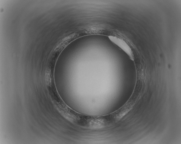 X0000080690599200612221054