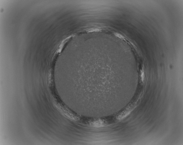 X0000080690600200612221054