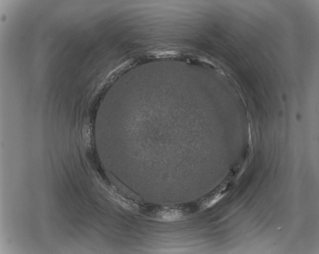 X0000080690604200612221054