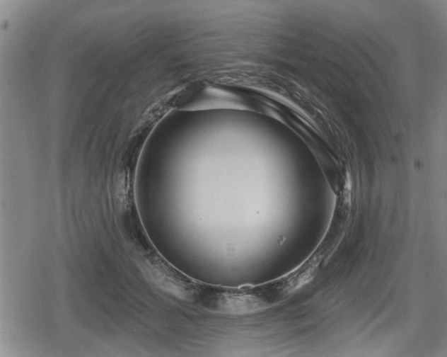 X0000080690605200612221054