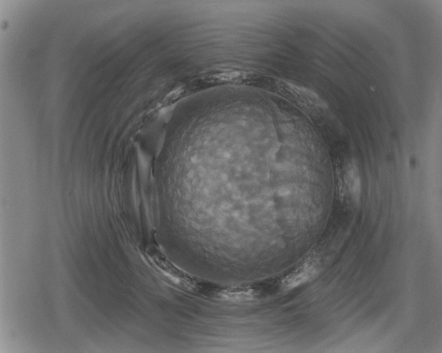 X0000080690606200612221054