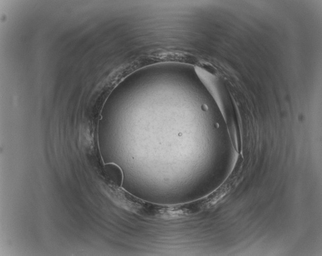 X0000080690607200612221054